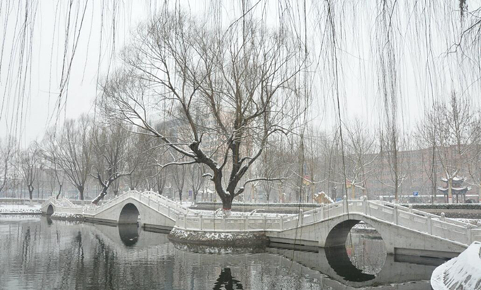 瑞雪披银装，师生扫雪忙