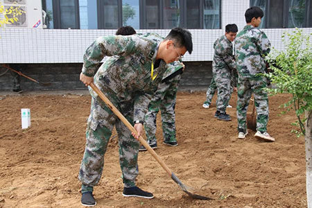 曹妃甸校区又添新绿 ——十万株花苗落户口碑好的外围平台体育