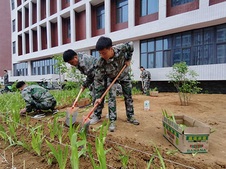 曹妃甸校区又添新绿 ——十万株花苗落户口碑好的外围平台体育