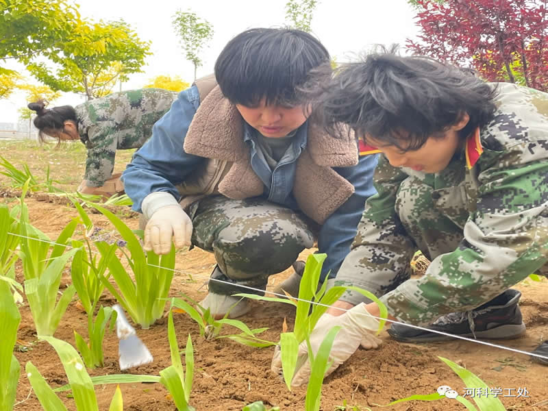 威尼斯886699学管干部全面开展绿化校园劳动教育实践活动