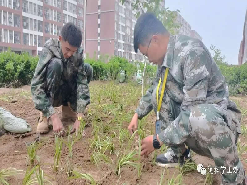 威尼斯886699学管干部全面开展绿化校园劳动教育实践活动