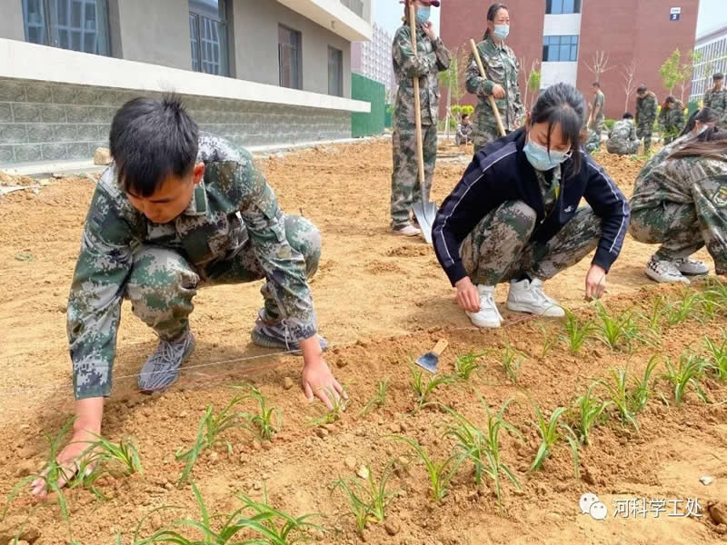 威尼斯886699学管干部全面开展绿化校园劳动教育实践活动