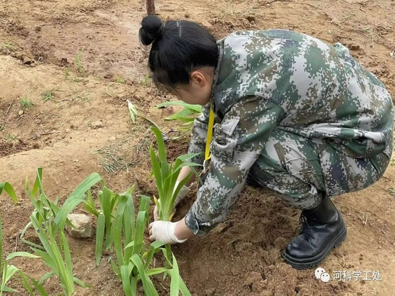 威尼斯886699学管干部全面开展绿化校园劳动教育实践活动