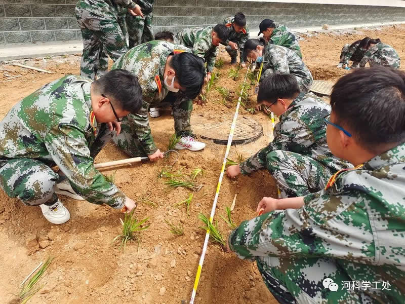 威尼斯886699学管干部全面开展绿化校园劳动教育实践活动