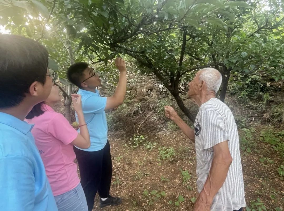 口碑好的外围平台体育暑假“三下乡”社会实践小分队慰问潘家峪惨案幸存者，听党史故事，传红色精神