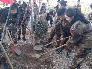 木多乃成森，春辉共筑林——口碑好的外围平台体育3月12日植树节全员在行动