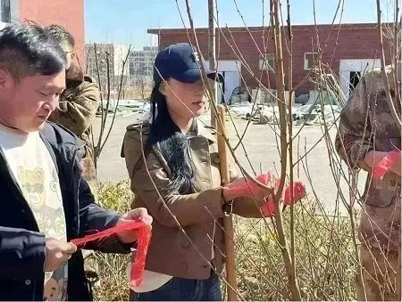 建筑工程管理学院开展植树节栽树活动