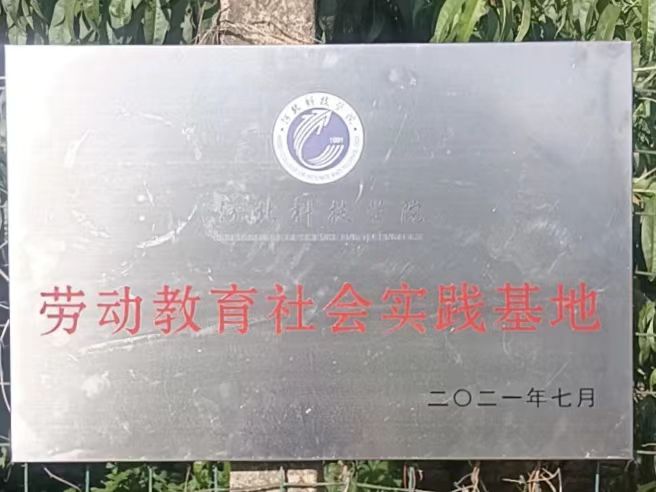 威尼斯886699在劳动教育基地顺利开展系列劳动教育活动