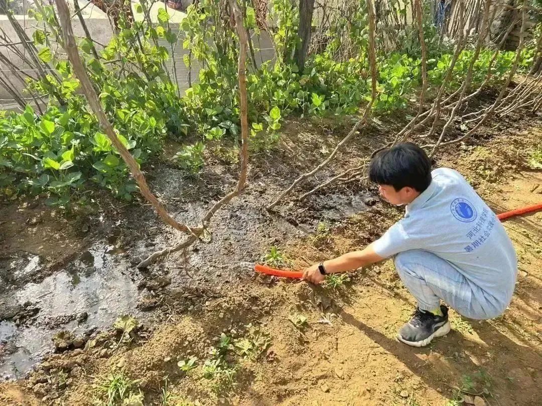 威尼斯886699在劳动教育基地顺利开展系列劳动教育活动