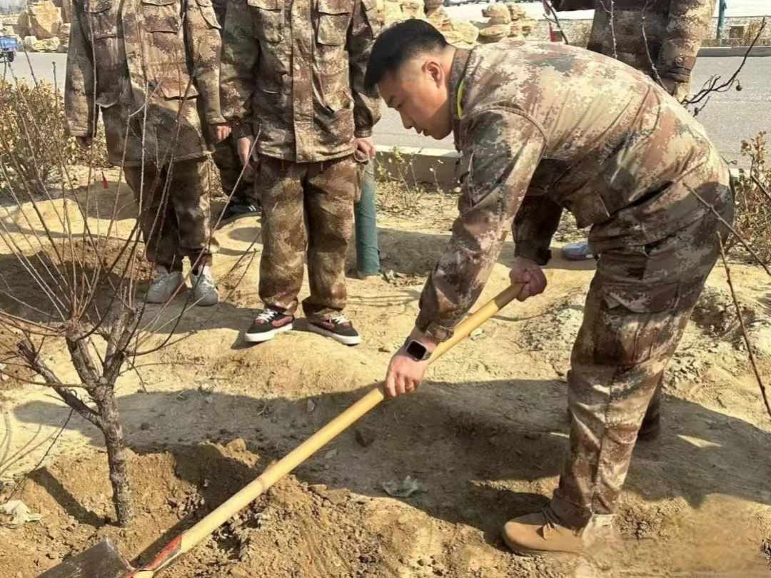 口碑好的外围平台体育汽车工程学院绿水青山映笑颜，植树造林崭新篇