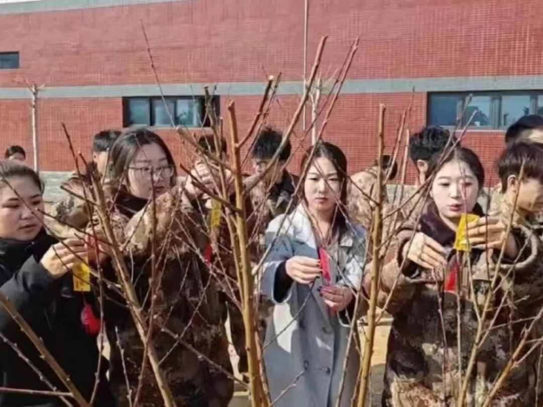 口碑好的外围平台体育汽车工程学院绿水青山映笑颜，植树造林崭新篇