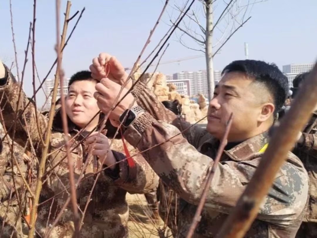 威尼斯886699  汽车工程学院  绿水青山映笑颜 植树造林崭新篇