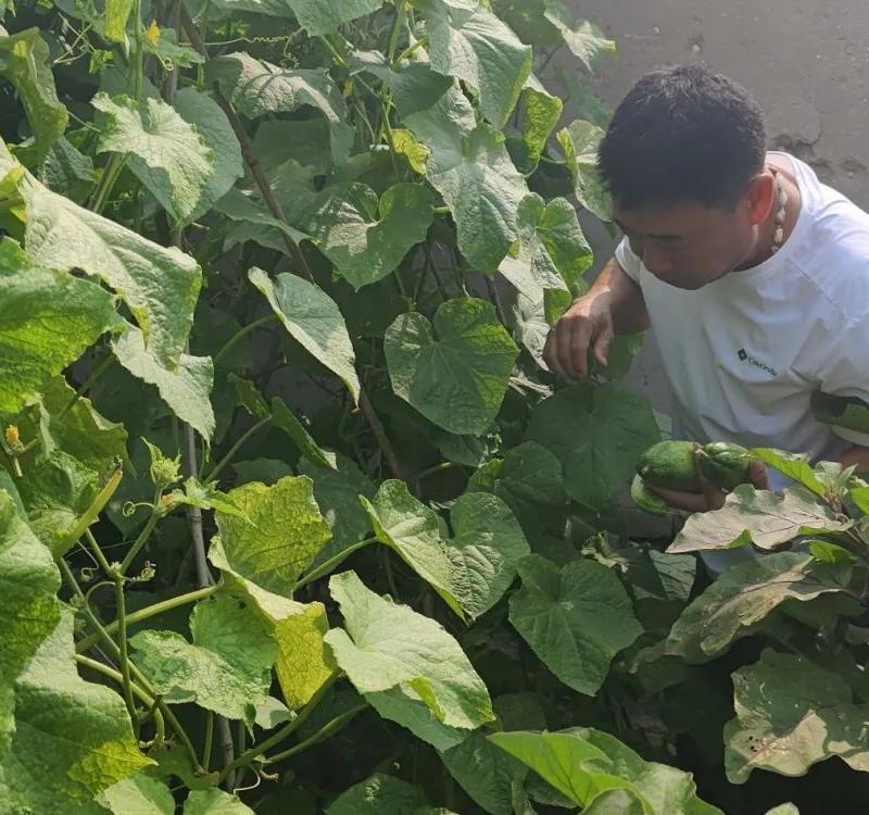 暑期 三下乡 专栏    汽车工程学院赴唐山潘家峪村开展爱国主义教育推普志愿服务活动