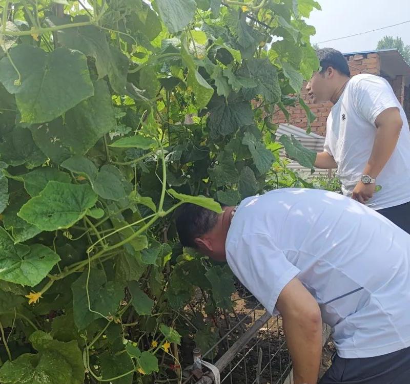 暑期 三下乡 专栏    汽车工程学院赴唐山潘家峪村开展爱国主义教育推普志愿服务活动